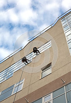 Industrial climbers washes windows in a high office building