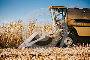 Industrial combine harvester working in the fields. Agriculture Farmer working with harvester machinery