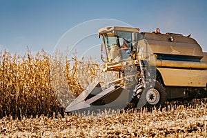 Industrial combine harvester working in the fields. Agriculture Farmer working with machinery