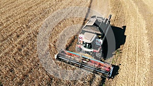 Industrial combines are harvesting grain crops