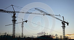 Industrial construction cranes site photo