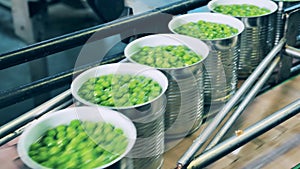 Industrial conveyor is relocating unsealed cans with green peas