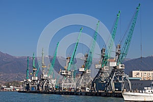 Industrial cranes in Batumi photo