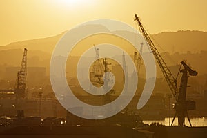 Industrial cranes in port