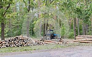 Industrial deforestation by forestry workers using machinery