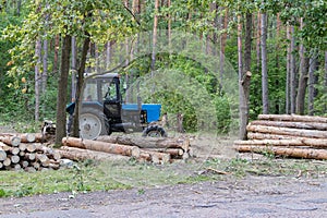 Industrial deforestation by forestry workers using machinery