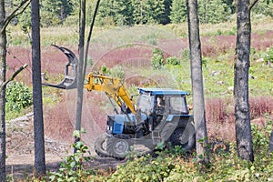 Industrial deforestation by forestry workers using machinery