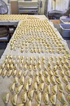 Industrial dumplings production before cooking.