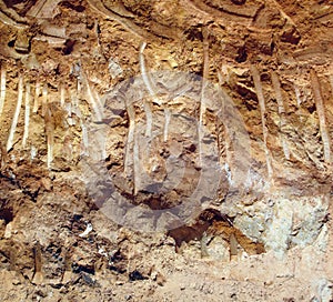 Industrial Earth Excavator Scrape Marks Left on a Hillside.