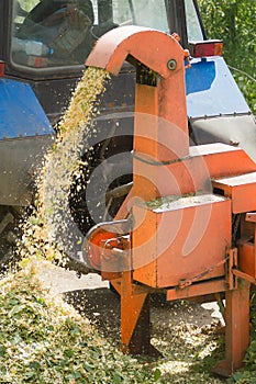 Industrial equipment, shredder of cut branches and twigs in operation. Wood Chipper