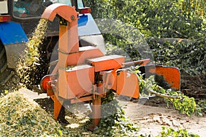 Industrial equipment, shredder of cut branches and twigs in operation. Wood Chipper