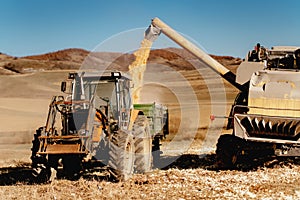 Industrial farmer using combine harvester and tractor for autumn harvest