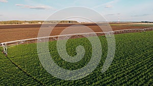 Industrial farming 4K Aerial video footage: Irrigation of field in Summer. Drone shot, agriculture at dawn in the summer