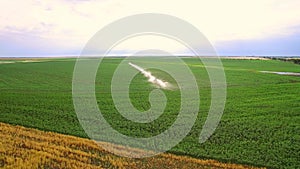 Industrial farming. Aerial video footage: Irrigation of a lettuce field in Europe in Summer. Watering and irrigating