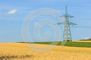 Industrial farmland before harvest