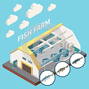 Industrial Fish Production Isometric