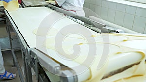 Industrial food factory or bakery.Production of confectionery products. Dough on an automatic conveyor belt, the process