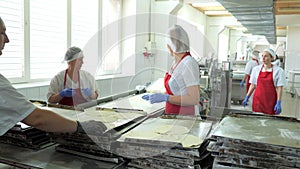 Industrial food factory or bakery.Production of confectionery products. Dough on an automatic conveyor belt, the process