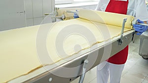 Industrial food factory or bakery.Production of confectionery products. Dough on an automatic conveyor belt, the process