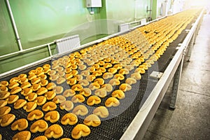 Industrial food production process. Factory or bakery conveyor belt with cakes. Automation manufacturing