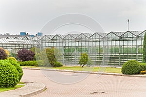 Industrial glass greenhouses in the city of Minsk in the afternoon