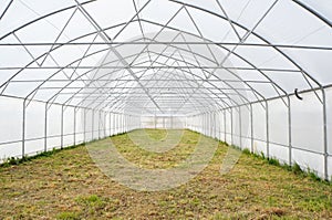 industrial greenhouse inside, greenhouse management