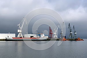Industrial harbor cranes in the seaport