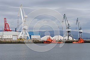 Industrial harbor cranes in the seaport