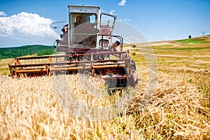 Industrial harvesting combine harvesting wheat