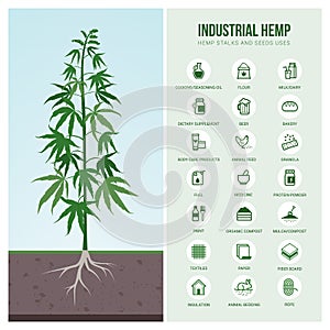 Industrial hemp uses and products