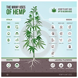 Industrial hemp uses and products