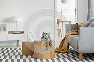 Industrial lamp on console table in bright living room interior with plants and grey comfortable sofa