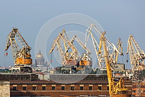 Industrial landscape with port cranes