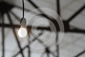 Industrial Light Bulb