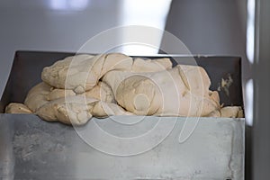 Industrial line of bakery products from yeast dough. Yeast dough in the rear