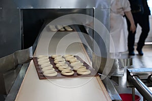Industrial line for the production of cookies