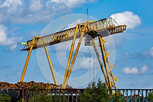 Industrial logging crane dwarfs log pile