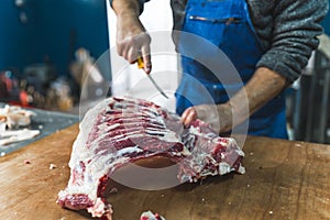 Industrial meat processing. cutting fresh raw pig meat in slaughterhouse