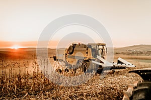 Industrial modern agriculture combine harvester machinery working in the fields and harvesting corn