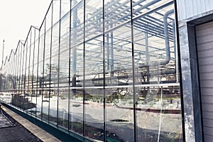 Industrial modern greenhouses or glasshouse or hothouse exterior agriculture gardening