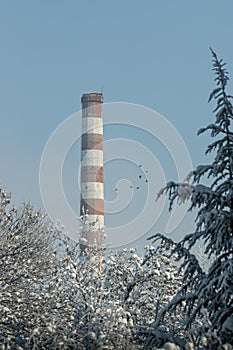 Industrial Old Tall Brick Chimney without smoke, on blue sky on a frosty day.