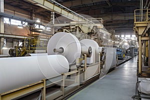 Industrial Paper Mill with Pulp and Paper Rolls