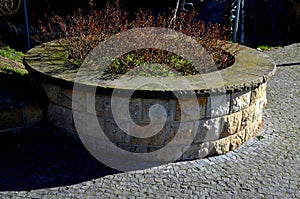 In the industrial park there are circular raised beds of concrete. there are benches and seats on the edge. sage grows inside