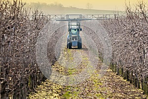 Industrial pest control on orchard