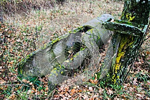 Old decayed concrete pipe