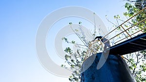 Industrial plant employee climbing into a storage tank for maintenance