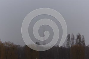 Industrial plant pipe in the fog. Trees on a background of a gray foggy autumn sky.