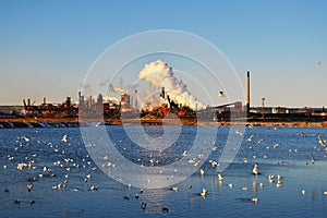 Industrial polution- photo