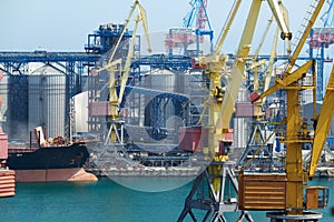 Industrial port, infrastructure of seaport, cranes and dry cargo ships