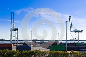 Industrial port in Miami, shipyard, cargo cranes and containers